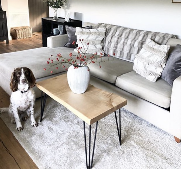 A Guide For Pet Owners on How to Find A Pet-Friendly Sofa